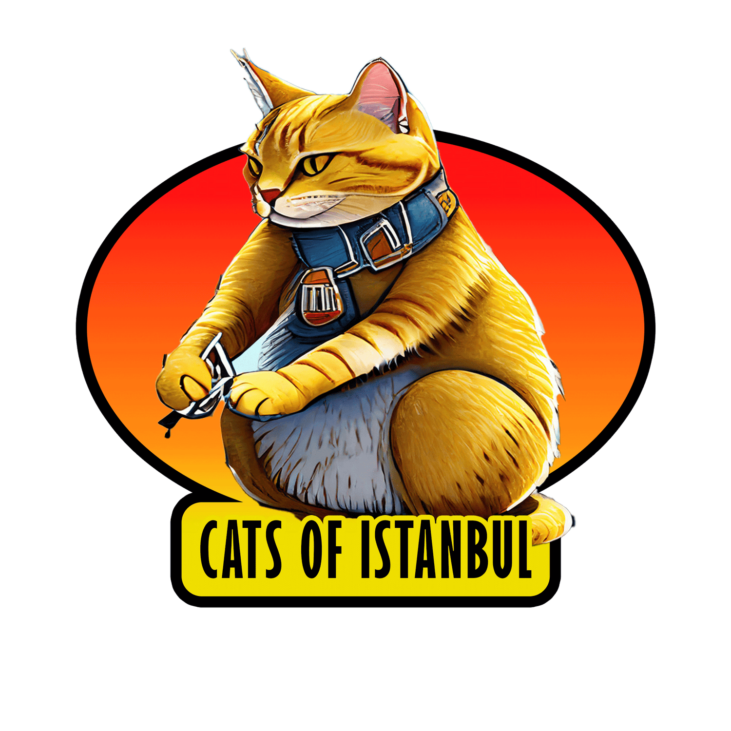 Cats of Istanbul